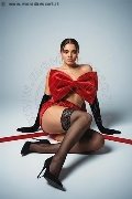 Foto 3312112346 Escort Galliate Carlotta Hot - 1