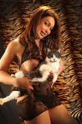 Foto 3533541305 Escort Verbania Alessa Venezuelana - 34