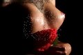 Foto 00491748490028 Escort Stoccarda Lisa - 6